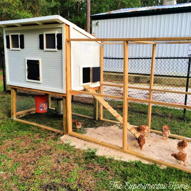 How To Build A Chicken Coop With Run