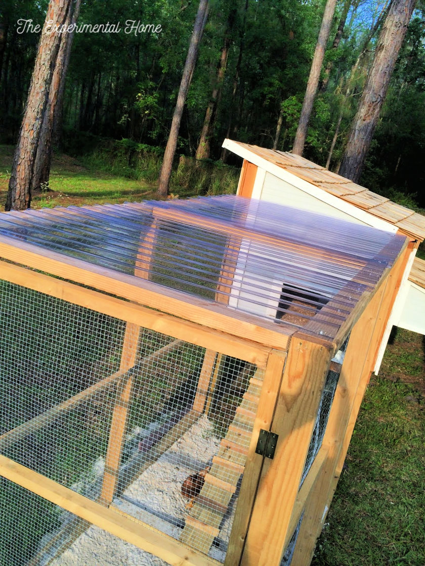 How To Build A Chicken Coop With Run