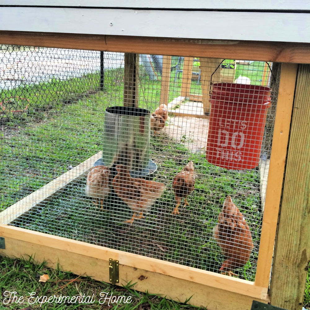 How To Build A Chicken Coop With Run